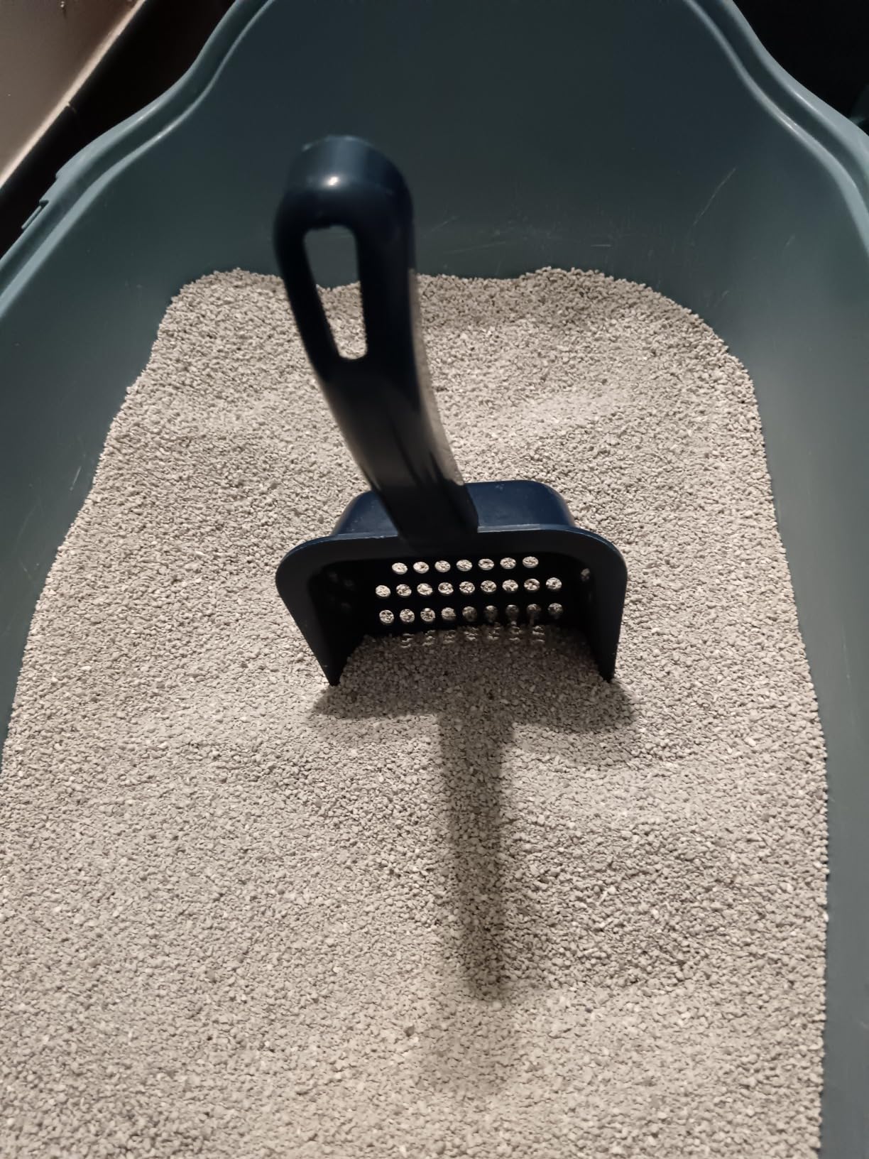 by Amazon Ultra lettiera gatto agglomerante bianca 10 L